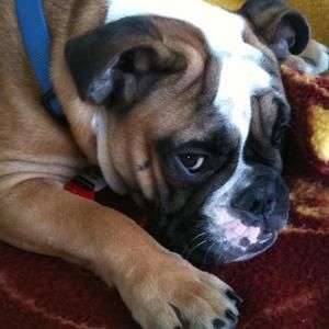 Meet your Posher, Jane